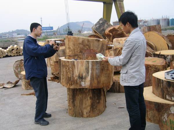 应力波技术在木材性质检测中的研究进展